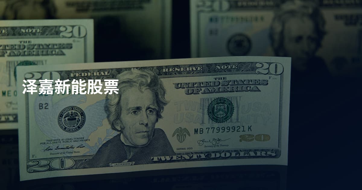 泽嘉新能股票