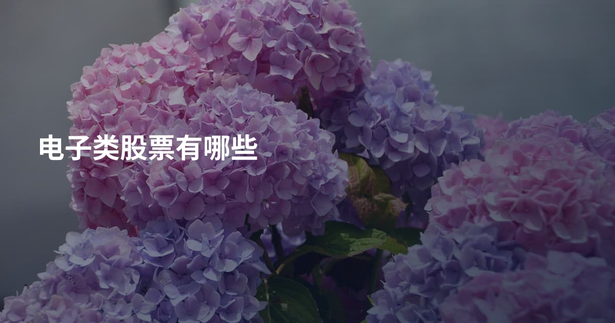 电子类股票有哪些