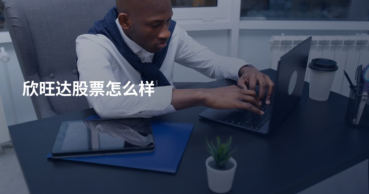 欣旺达股票怎么样