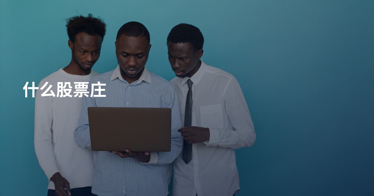 什么股票庄