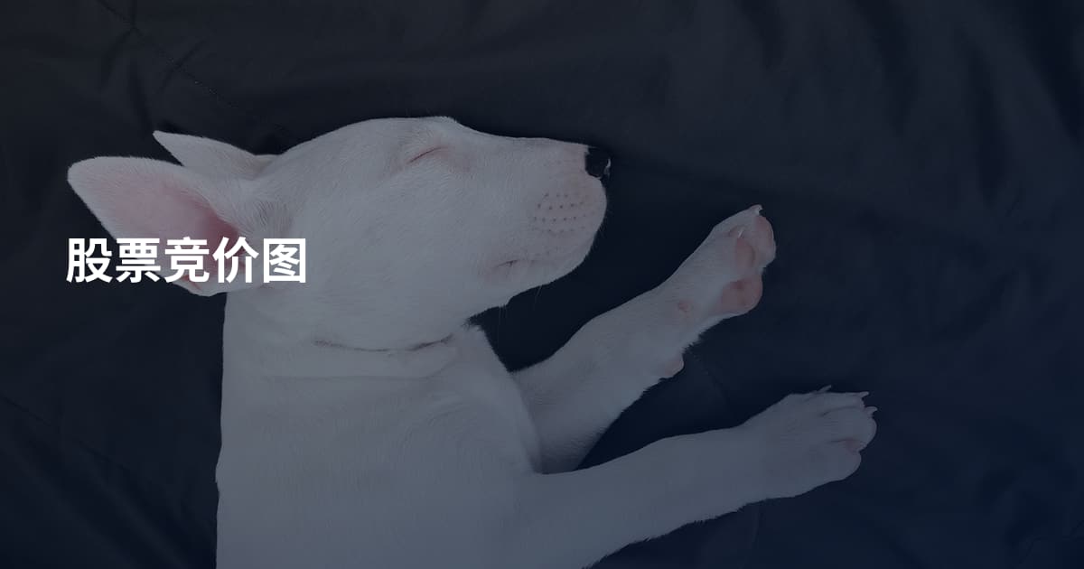 股票竞价图