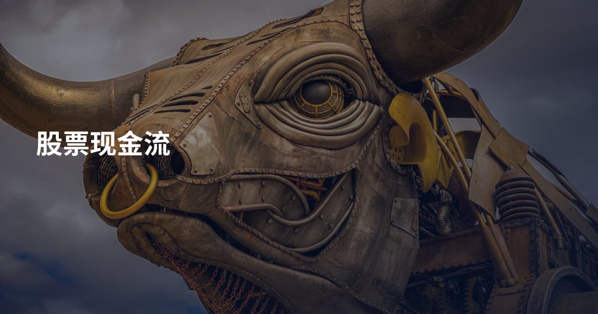 股票现金流