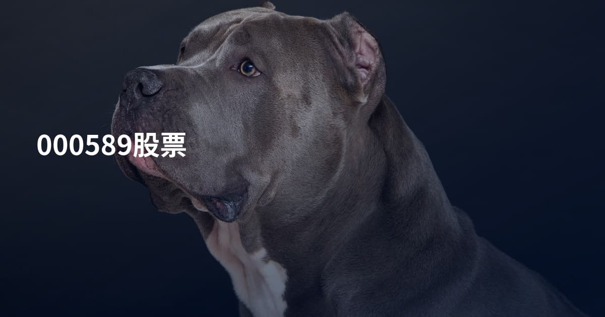 000589股票