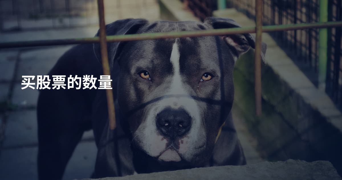 买股票的数量