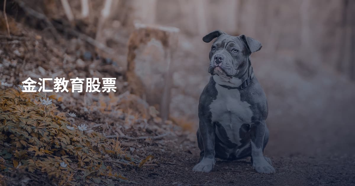 金汇教育股票