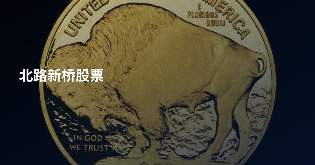 北路新桥股票