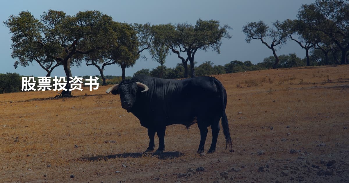 股票投资书