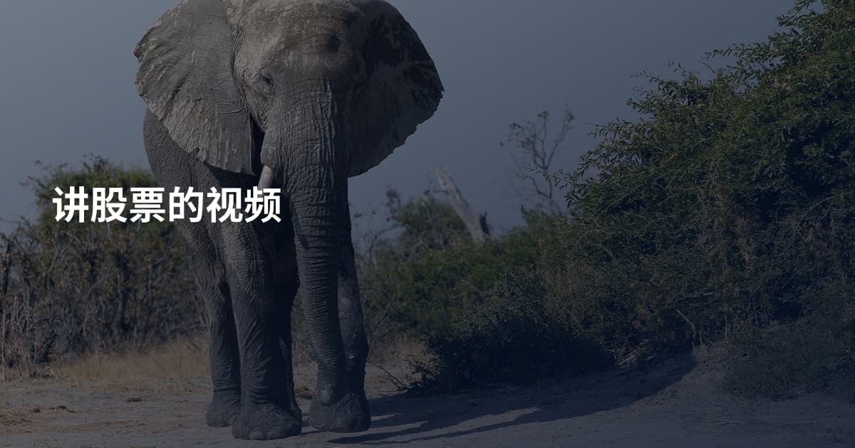 讲股票的视频