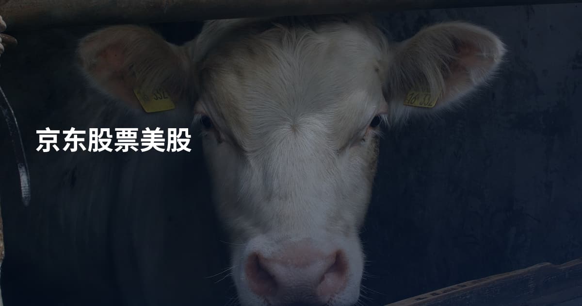 京东股票美股