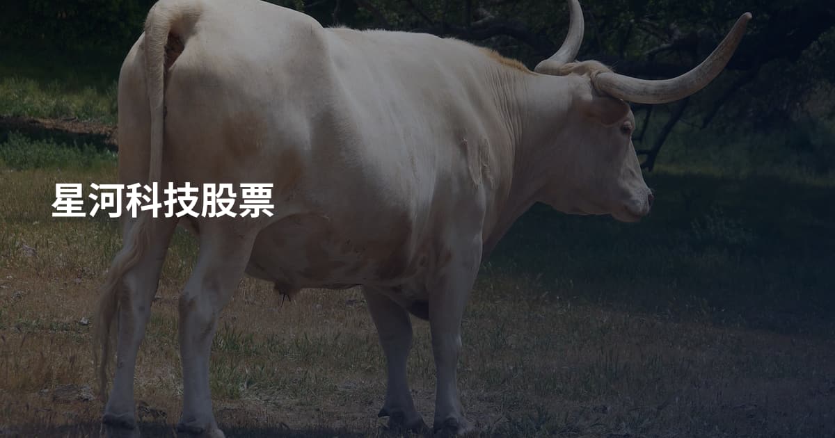星河科技股票