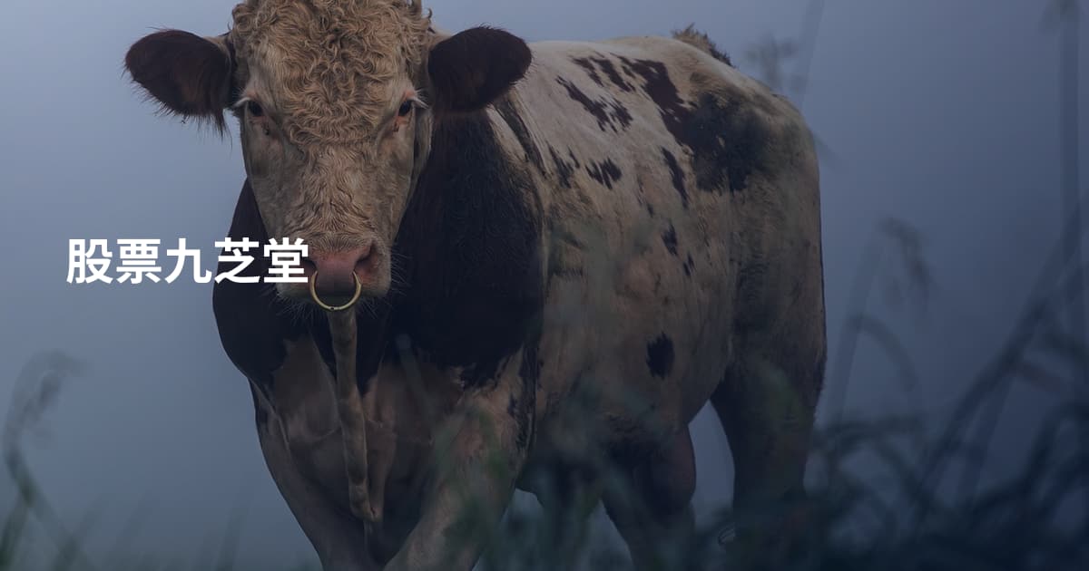 股票九芝堂