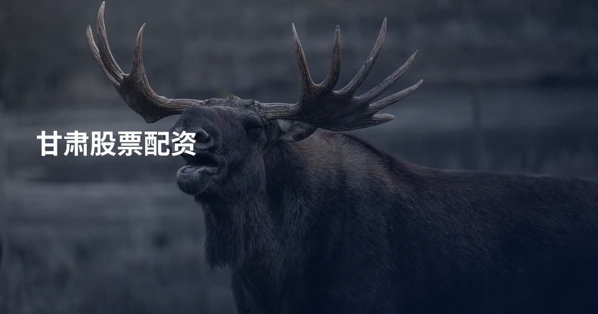 甘肃股票配资