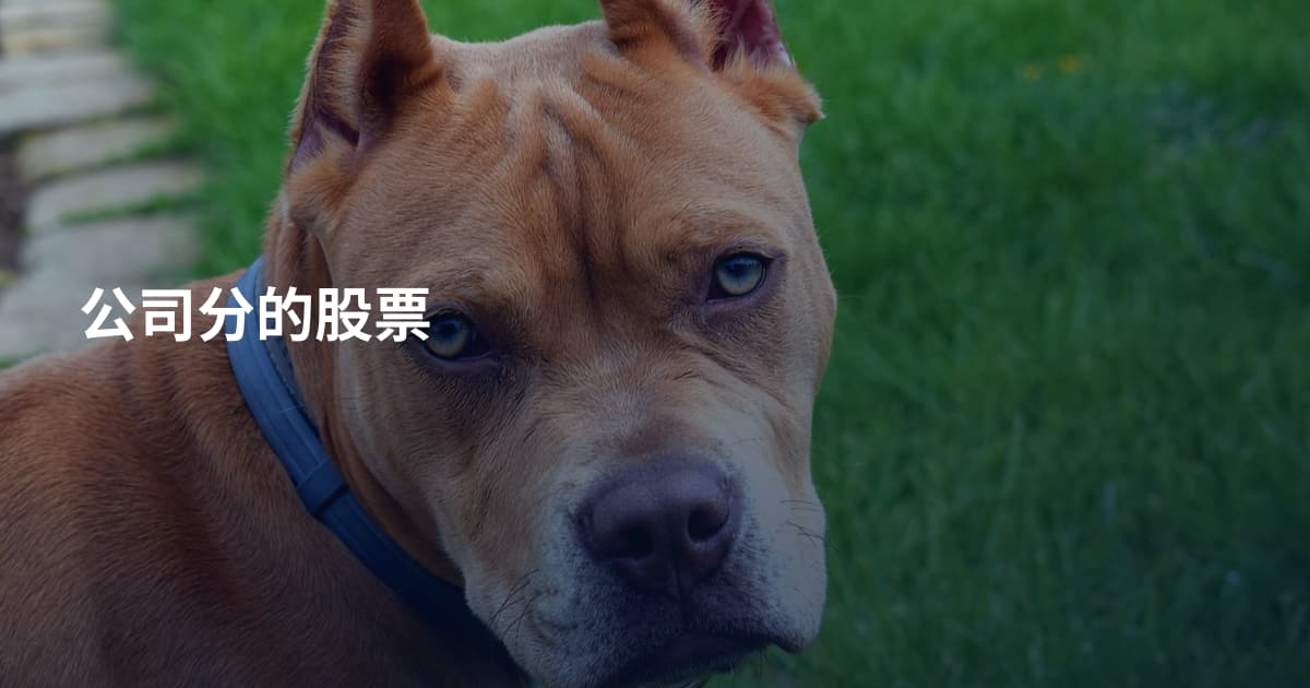公司分的股票