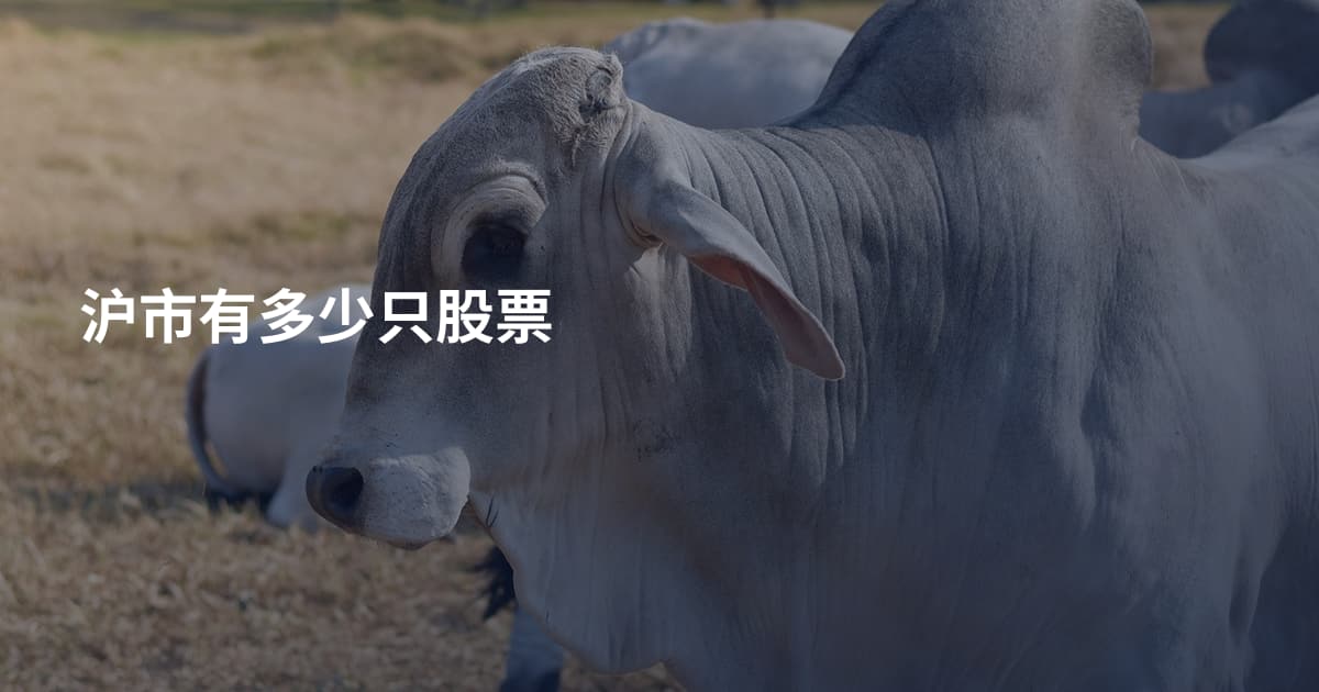 沪市有多少只股票