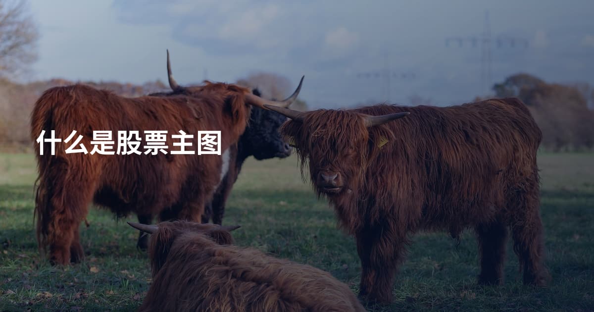 什么是股票主图