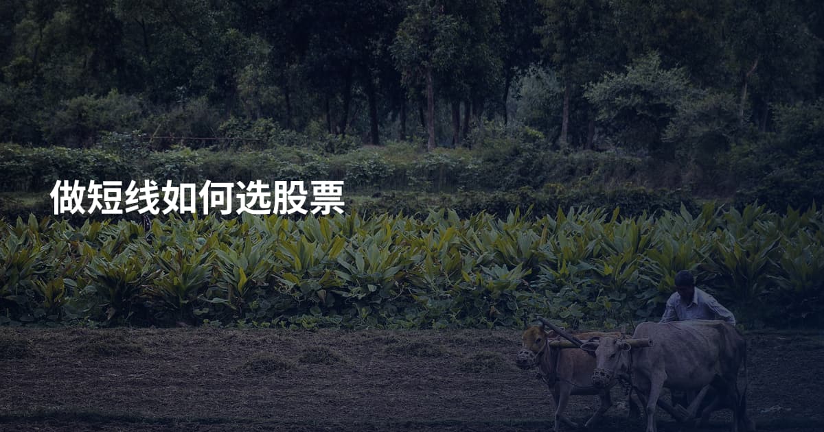 做短线如何选股票