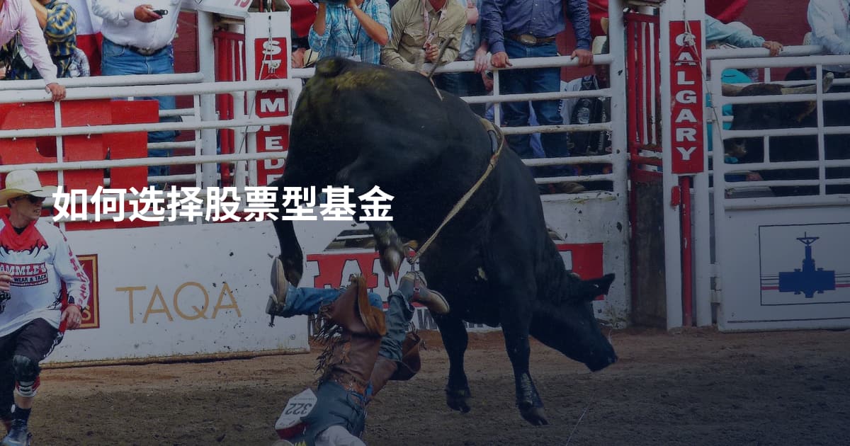 如何选择股票型基金