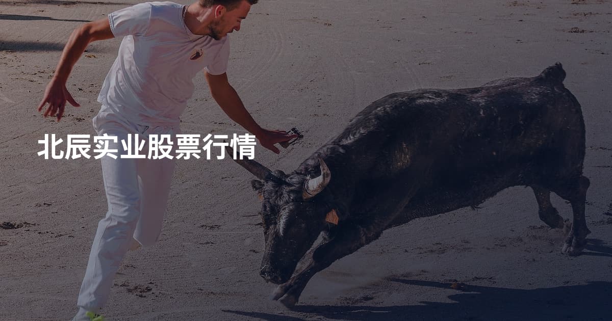 北辰实业股票行情