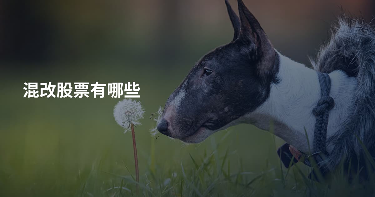 混改股票有哪些