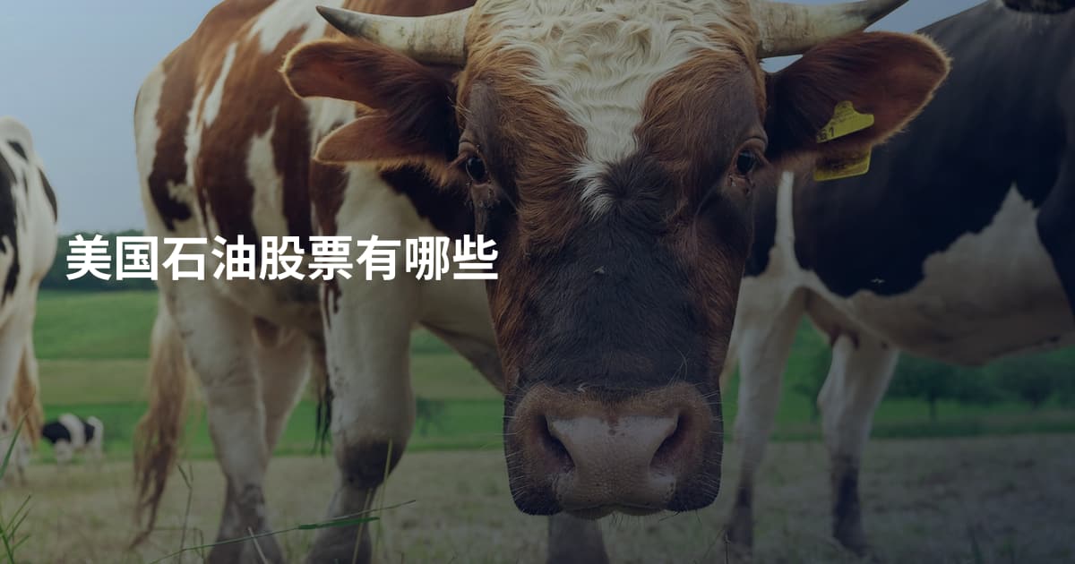 美国石油股票有哪些