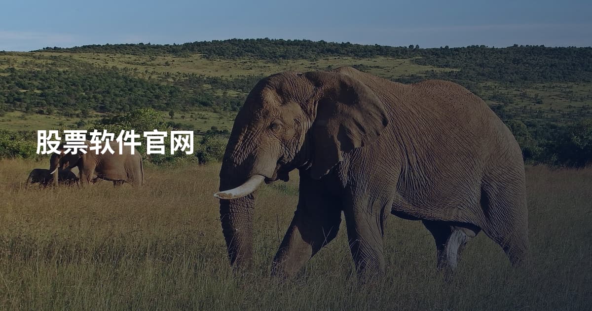 股票软件官网
