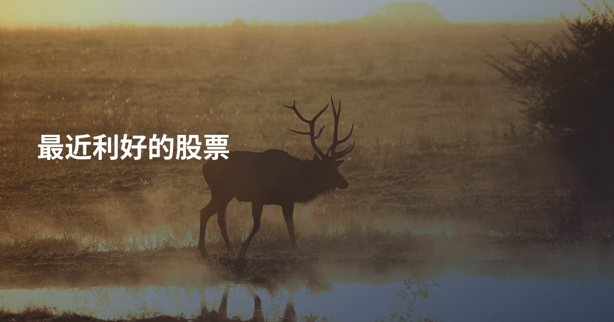 最近利好的股票