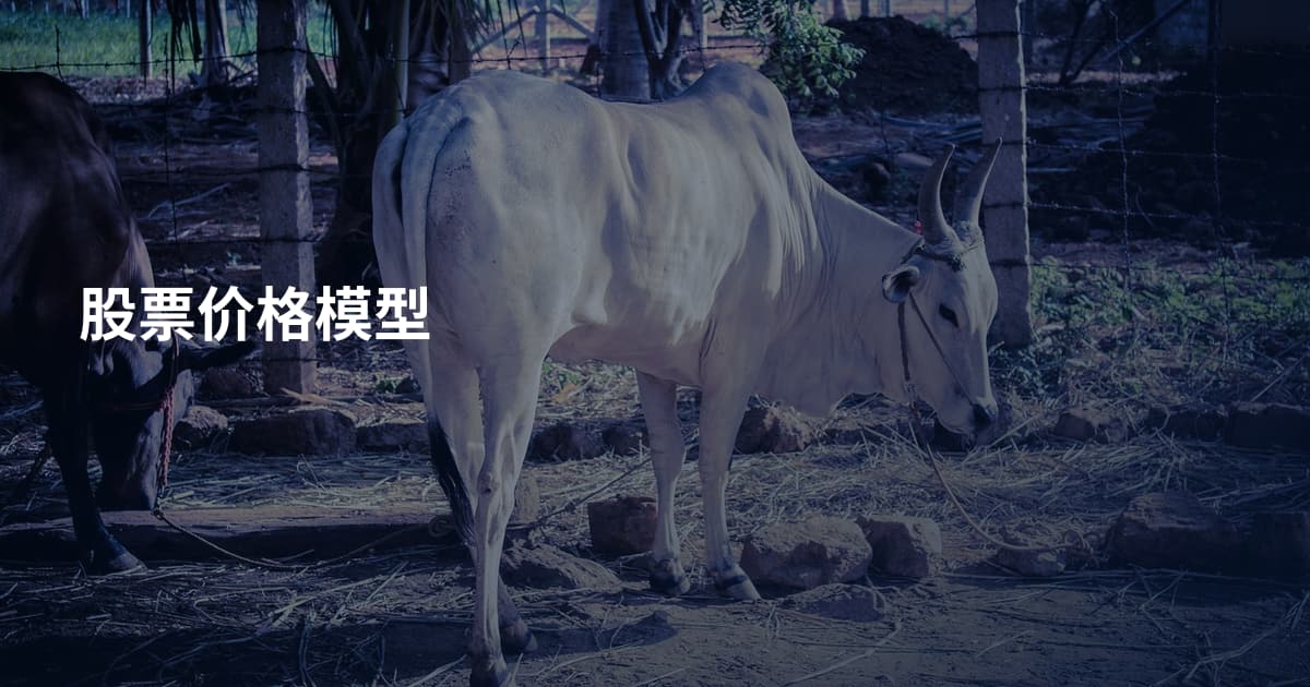 股票价格模型