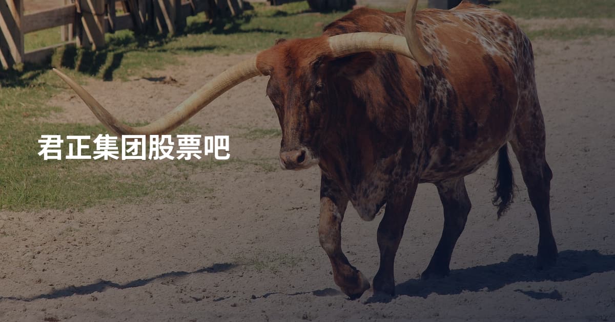 君正集团股票吧