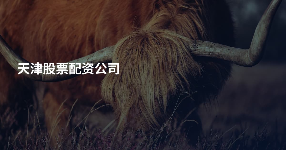 天津股票配资公司