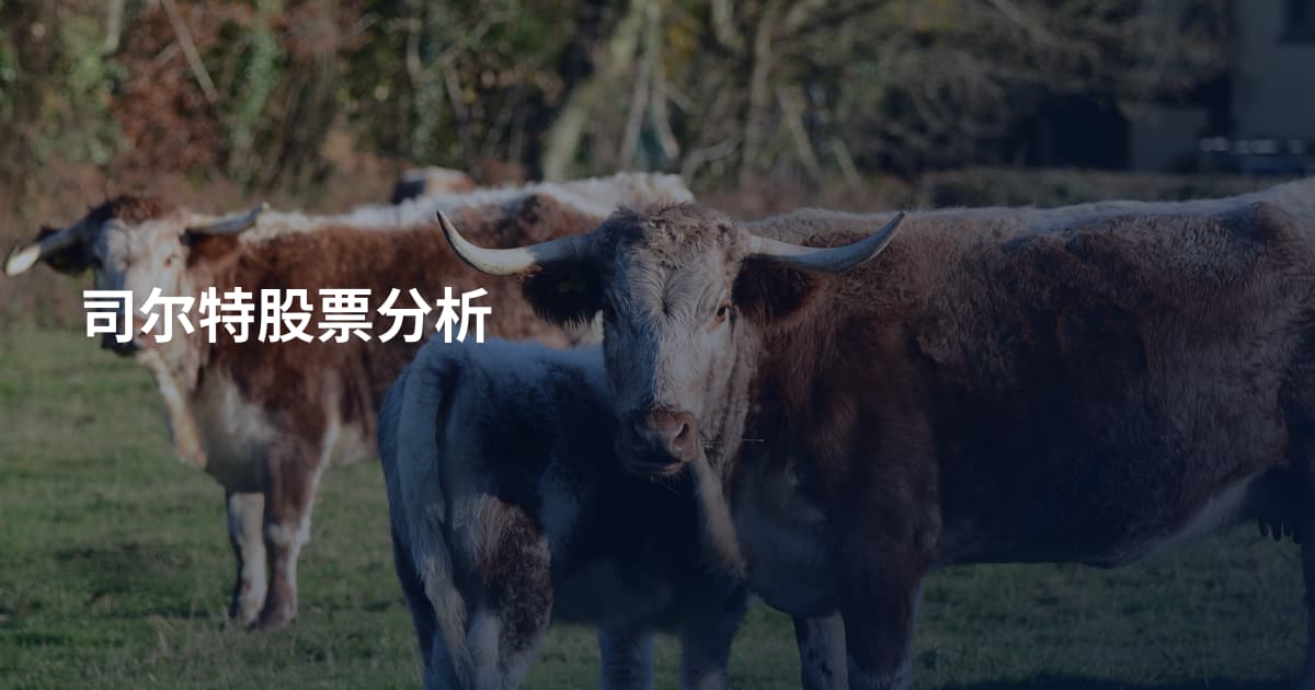 司尔特股票分析