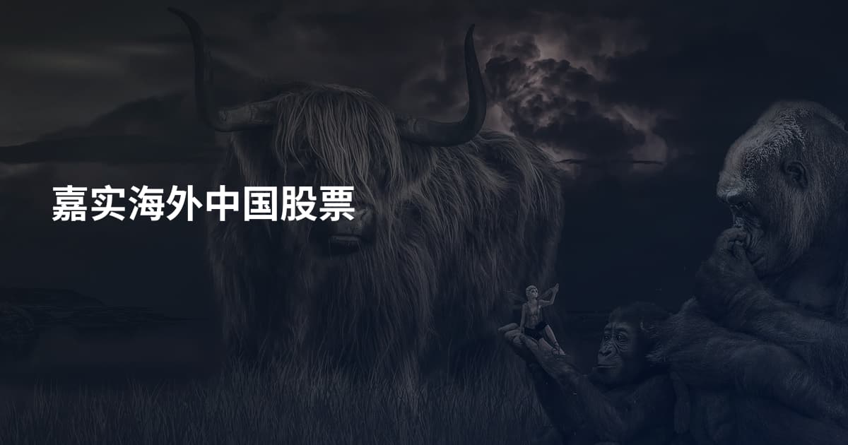 嘉实海外中国股票
