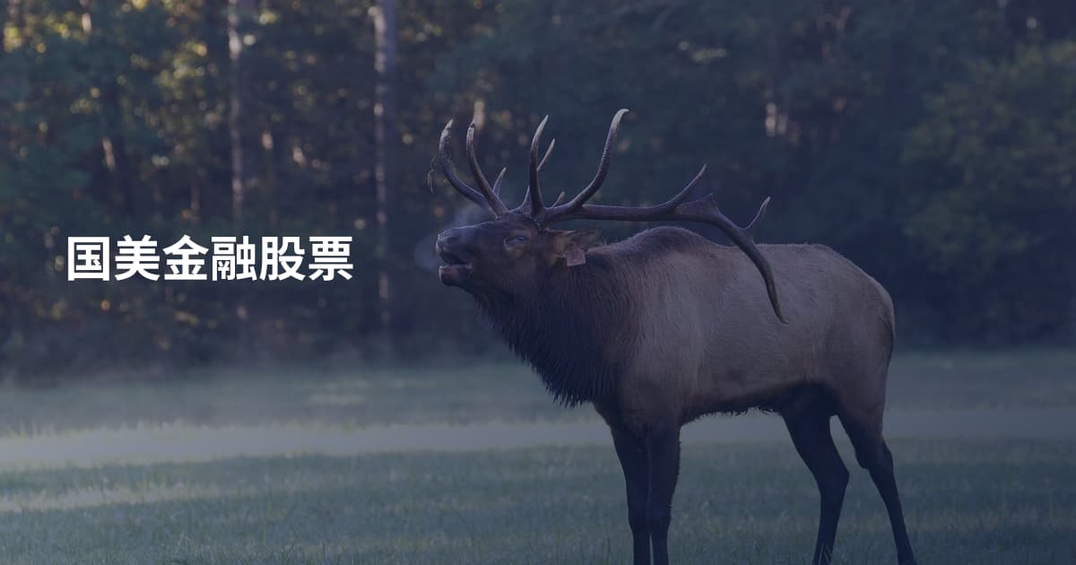 国美金融股票