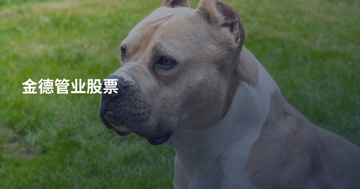 金德管业股票
