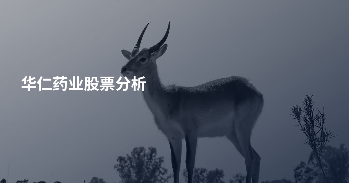 华仁药业股票分析