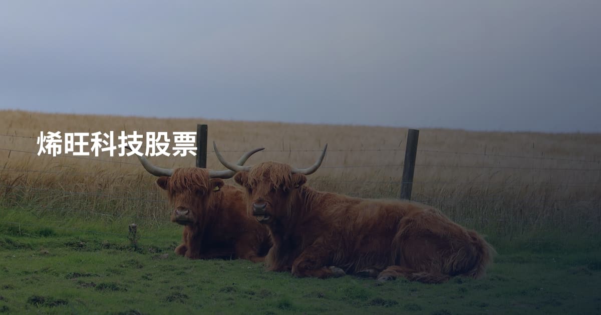 烯旺科技股票