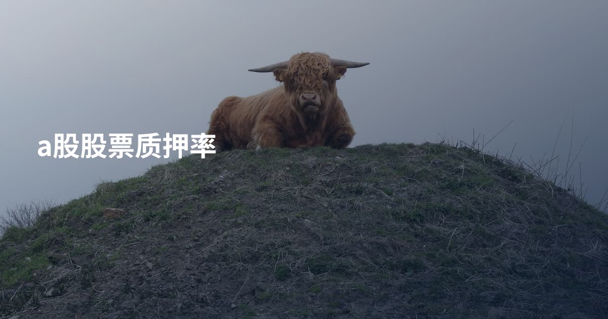 a股股票质押率