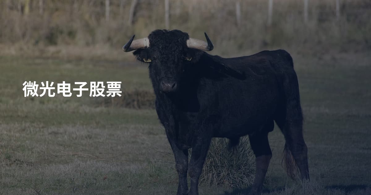 微光电子股票