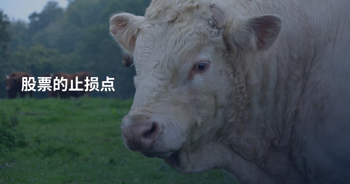 股票的止损点