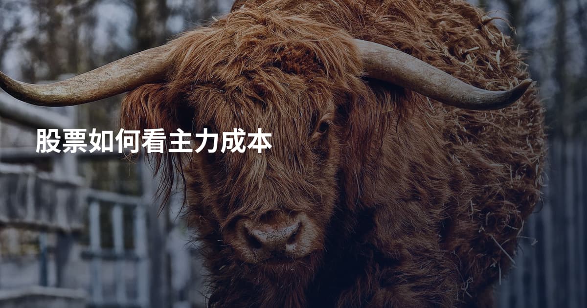 股票如何看主力成本