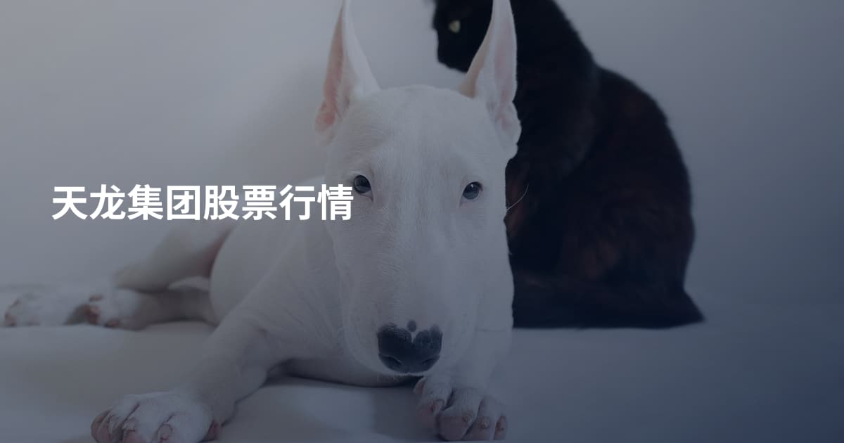 天龙集团股票行情