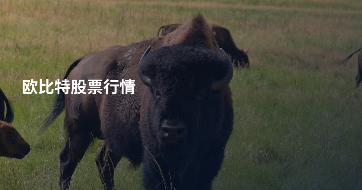 欧比特股票行情