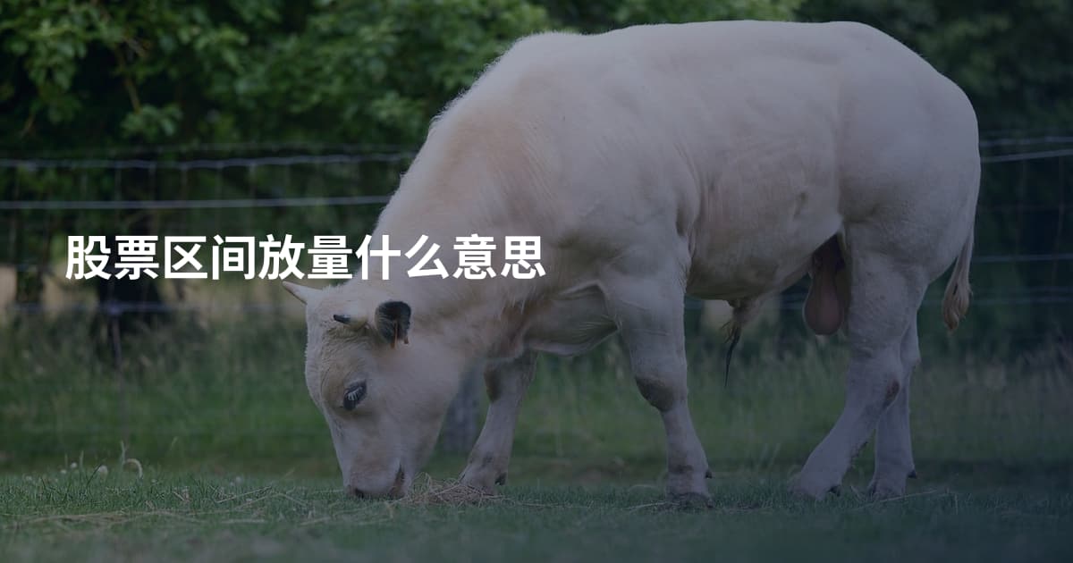 股票区间放量什么意思