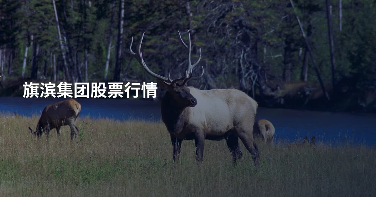 旗滨集团股票行情