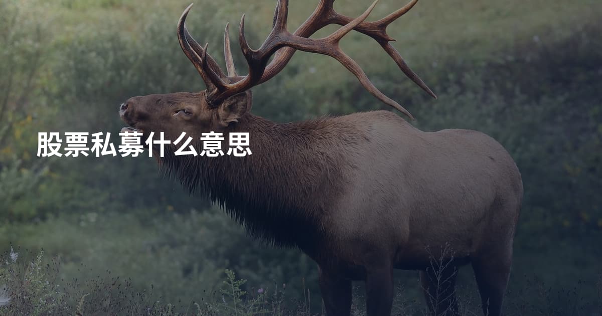 股票私募什么意思