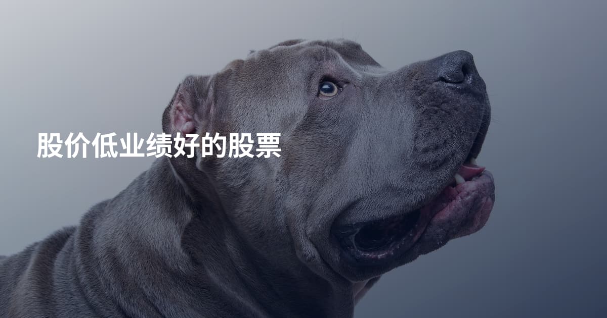 股价低业绩好的股票