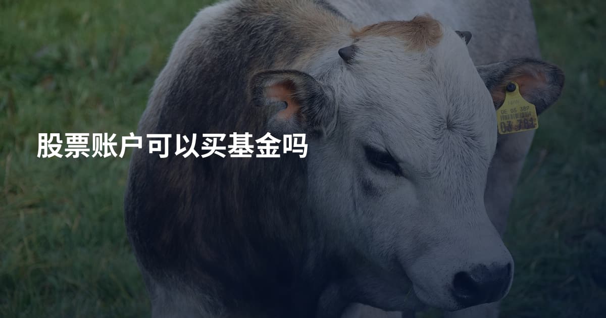 股票账户可以买基金吗
