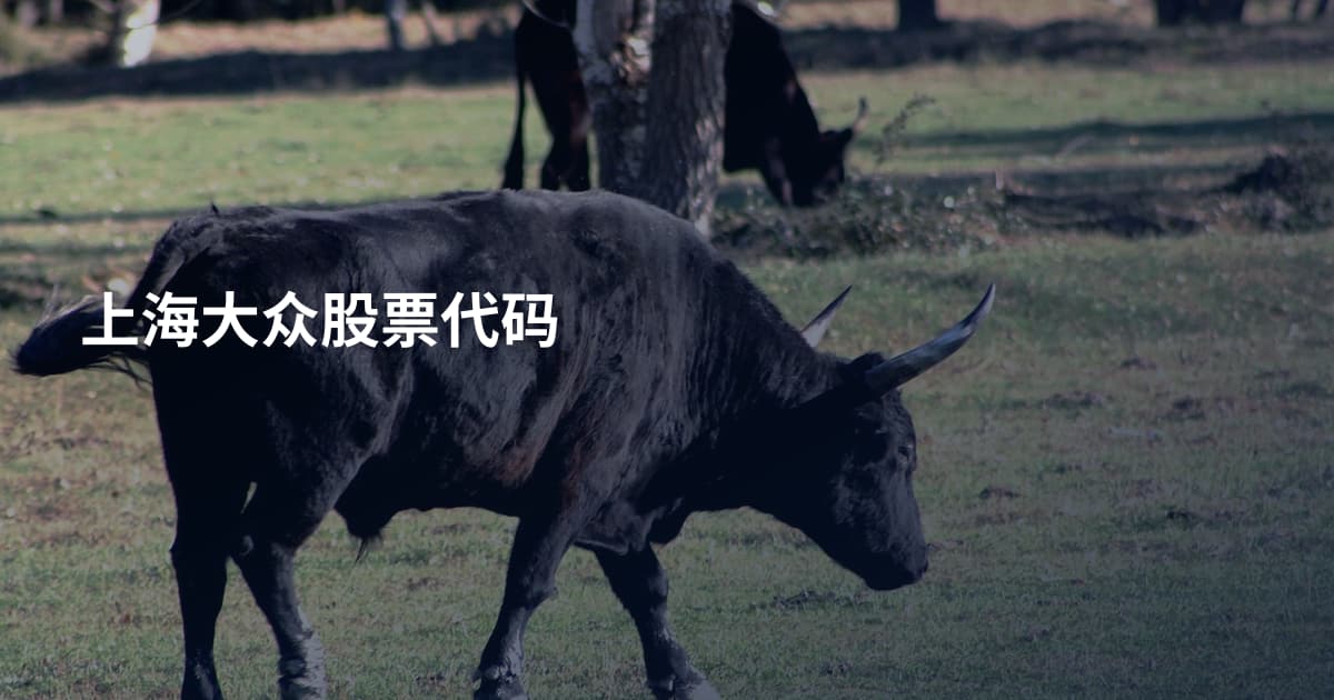 上海大众股票代码
