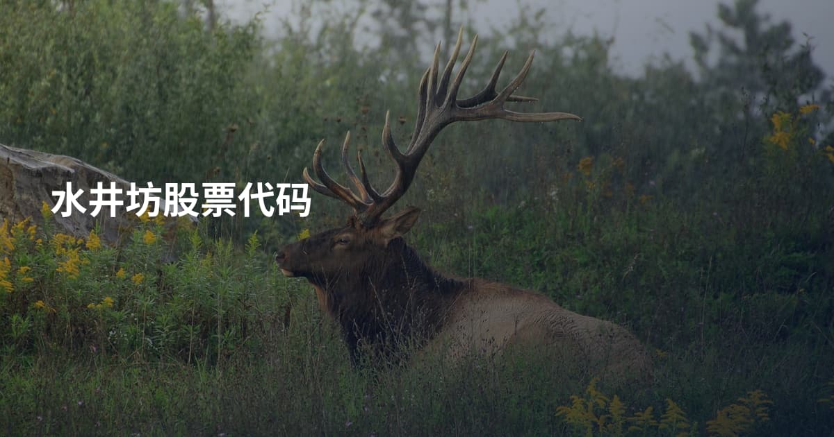 水井坊股票代码
