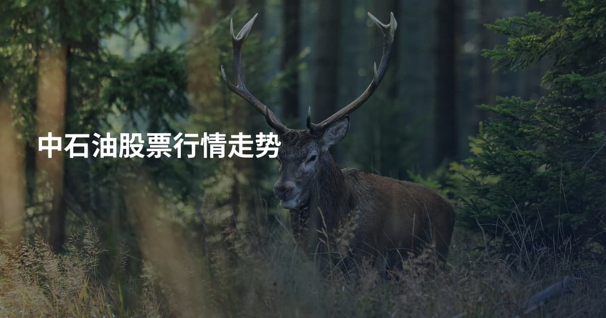 中石油股票行情走势