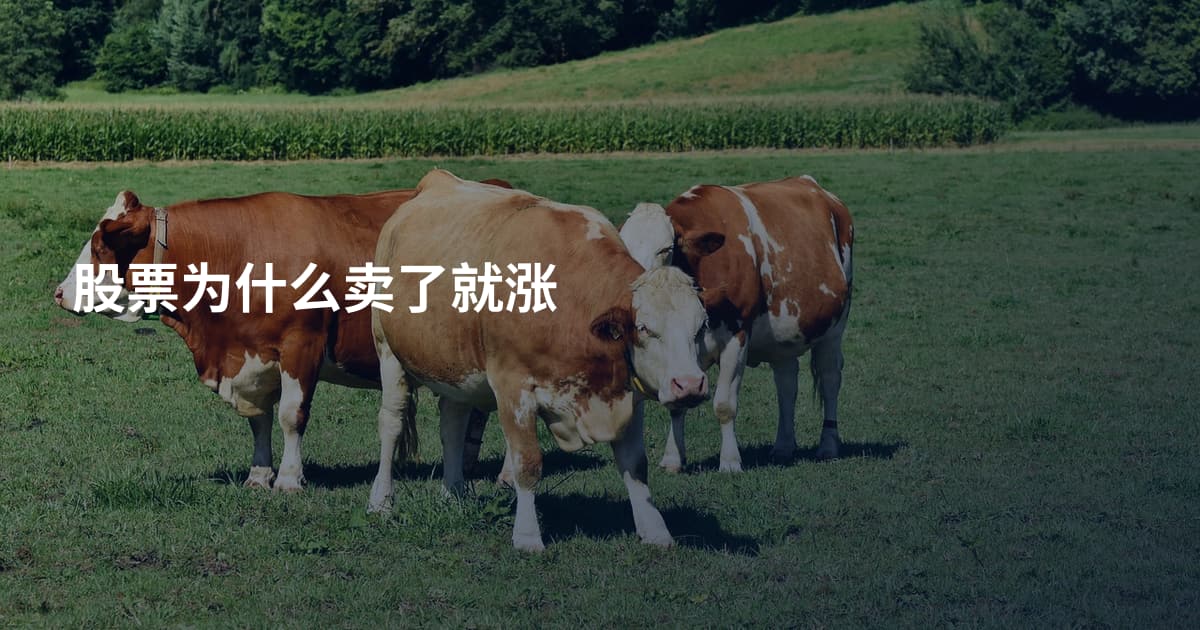股票为什么卖了就涨